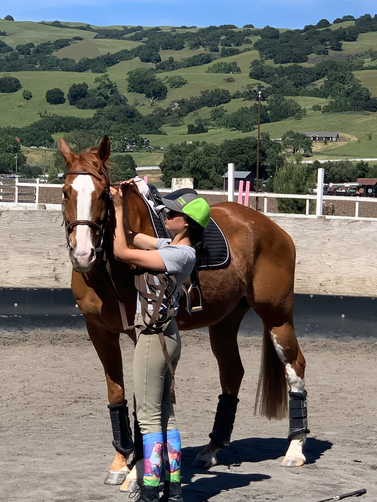 girl adjusting horse's bridle with beautiful, green hills in background