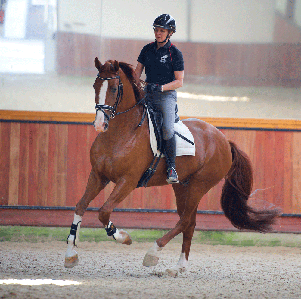 man cantering on horseback