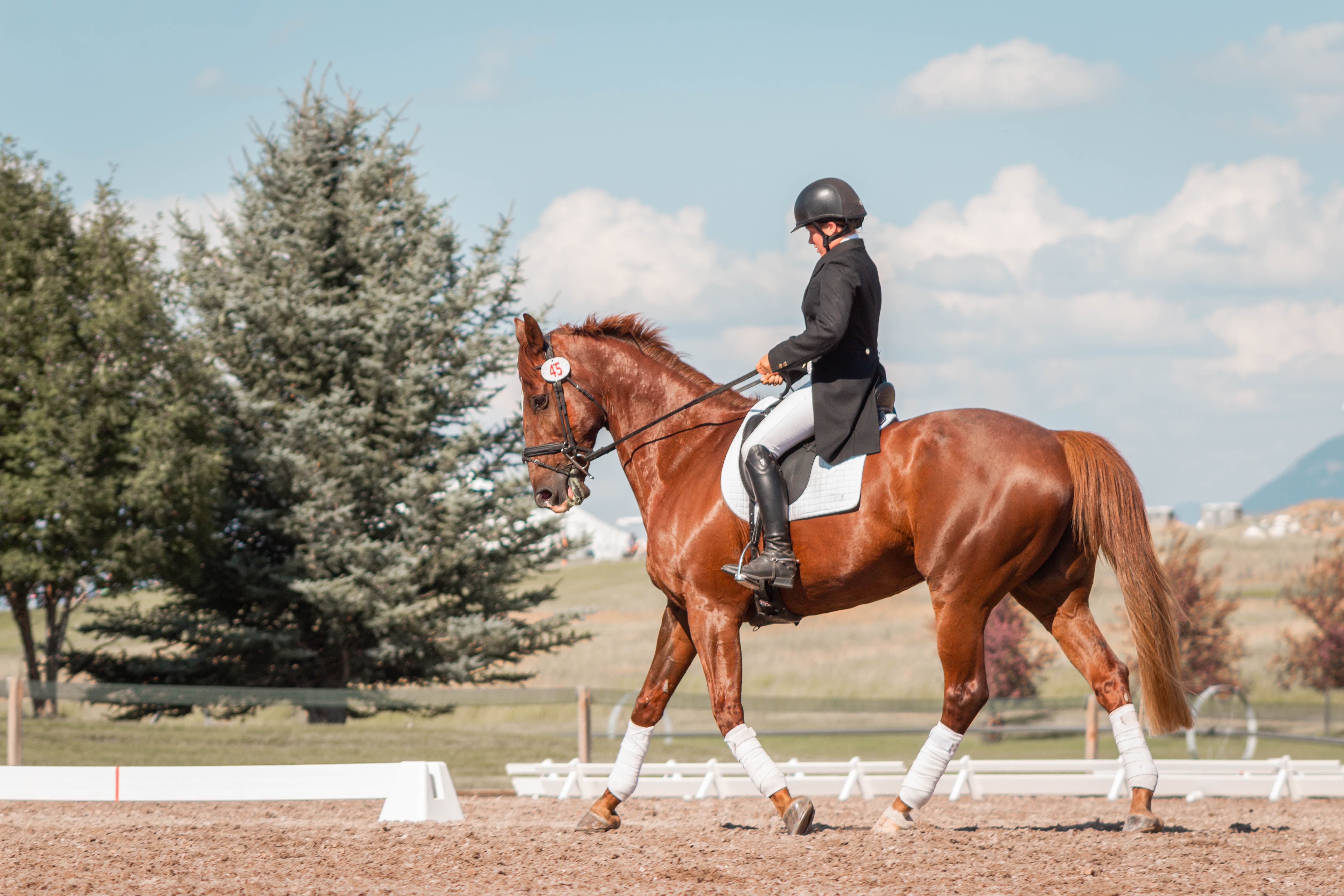 girl riding orange horse in dressage court