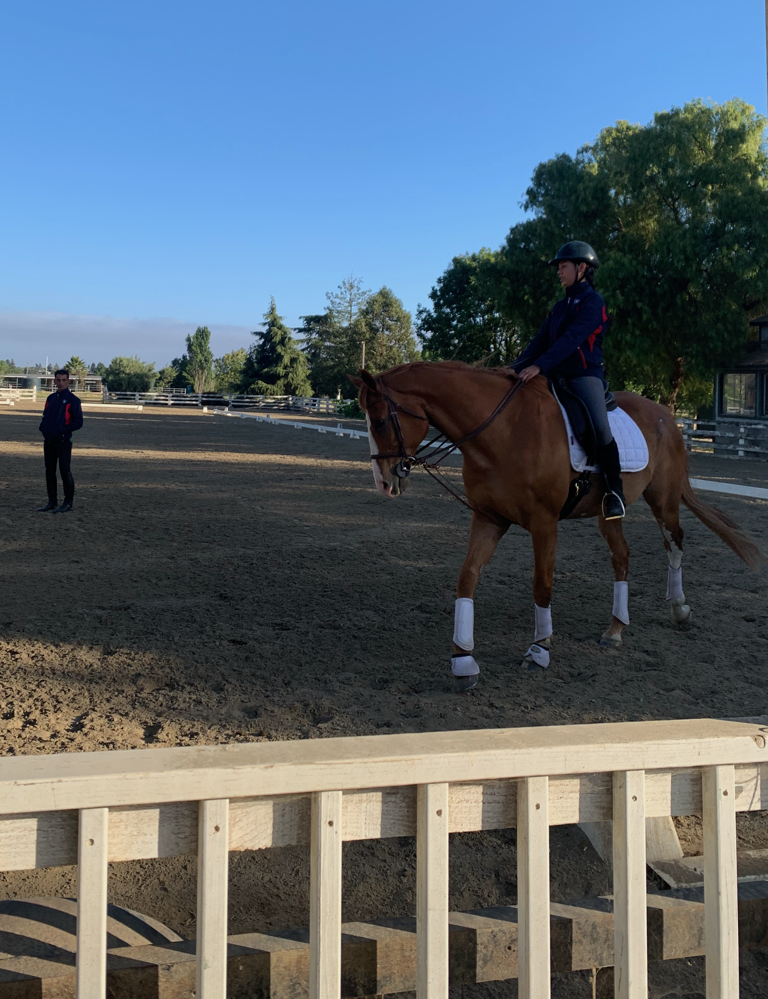 girl riding horse in a lesson