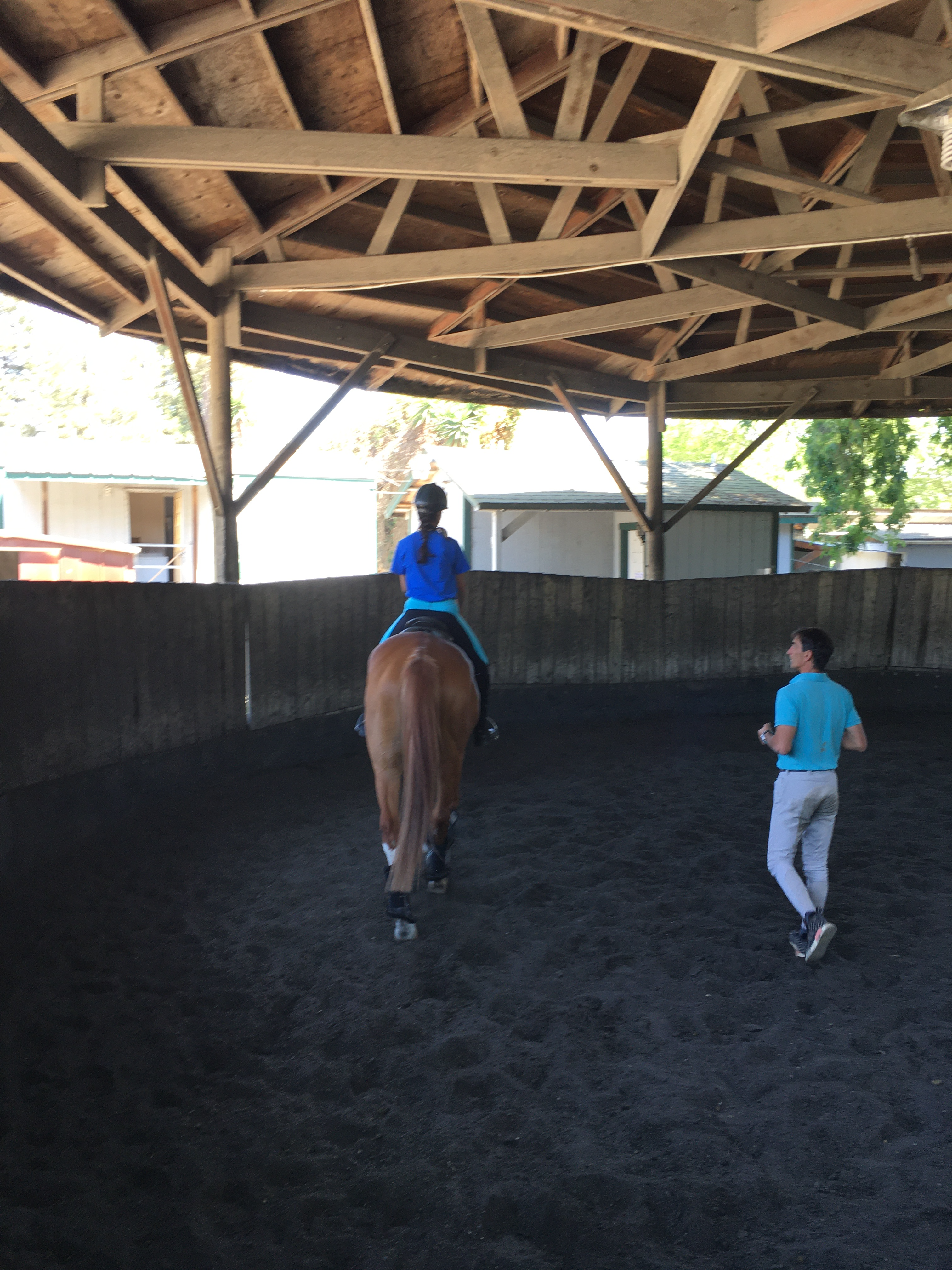 girl riding horse in a lesson with trainer helping