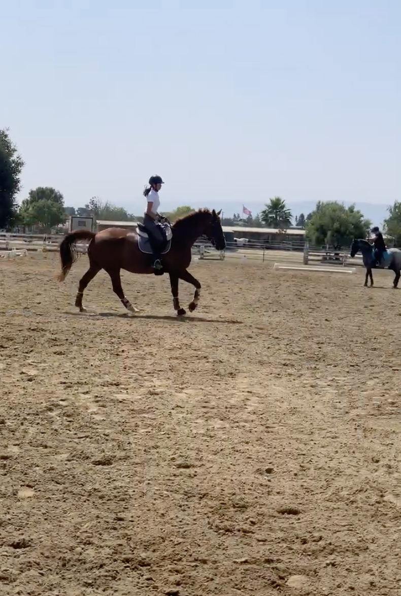 girl riding horse in a lesson with trainer helping