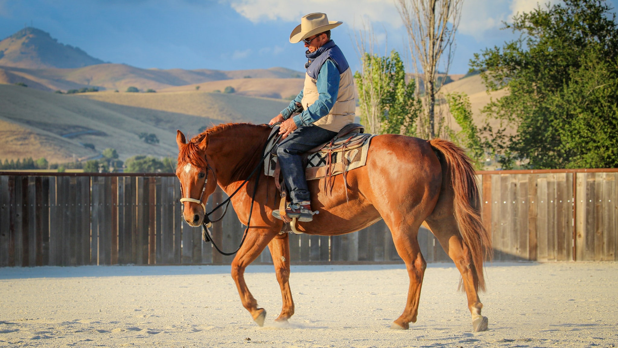 cowboy riding a horse in a bent cirlce